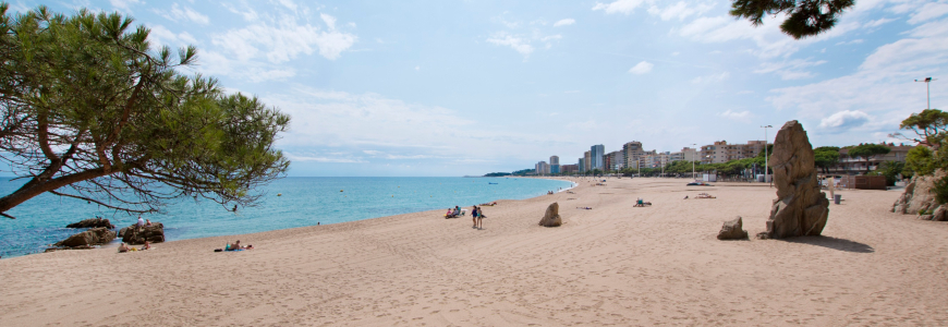 Discount 15% Hotel Monterrey - Platja d'Aro